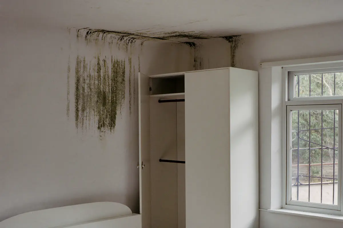 Zwarte schimmelvlekken op muur en plafond achter een kledingkast in een slaapkamer